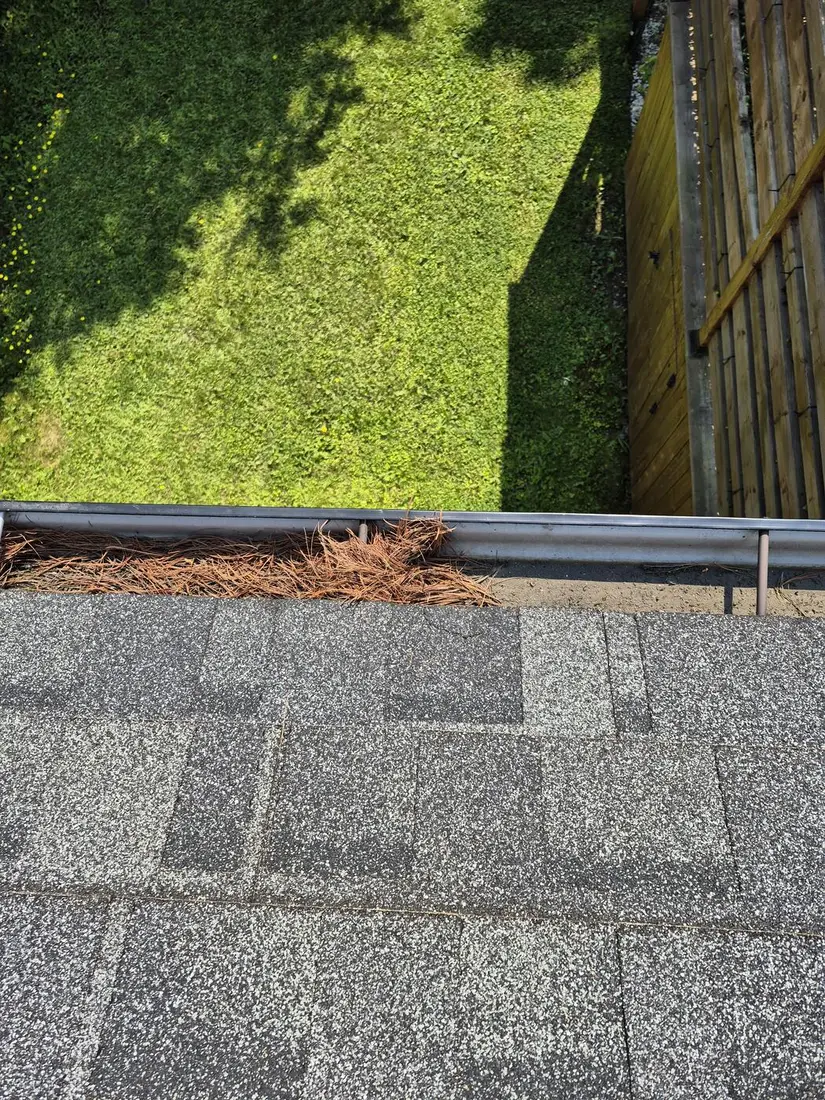 Comment des gouttières bouchées endommagent toute votre maison