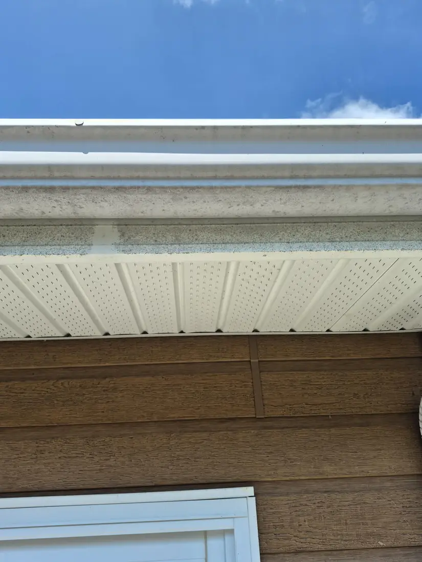 Moisissure sur la gouttière et le fascia