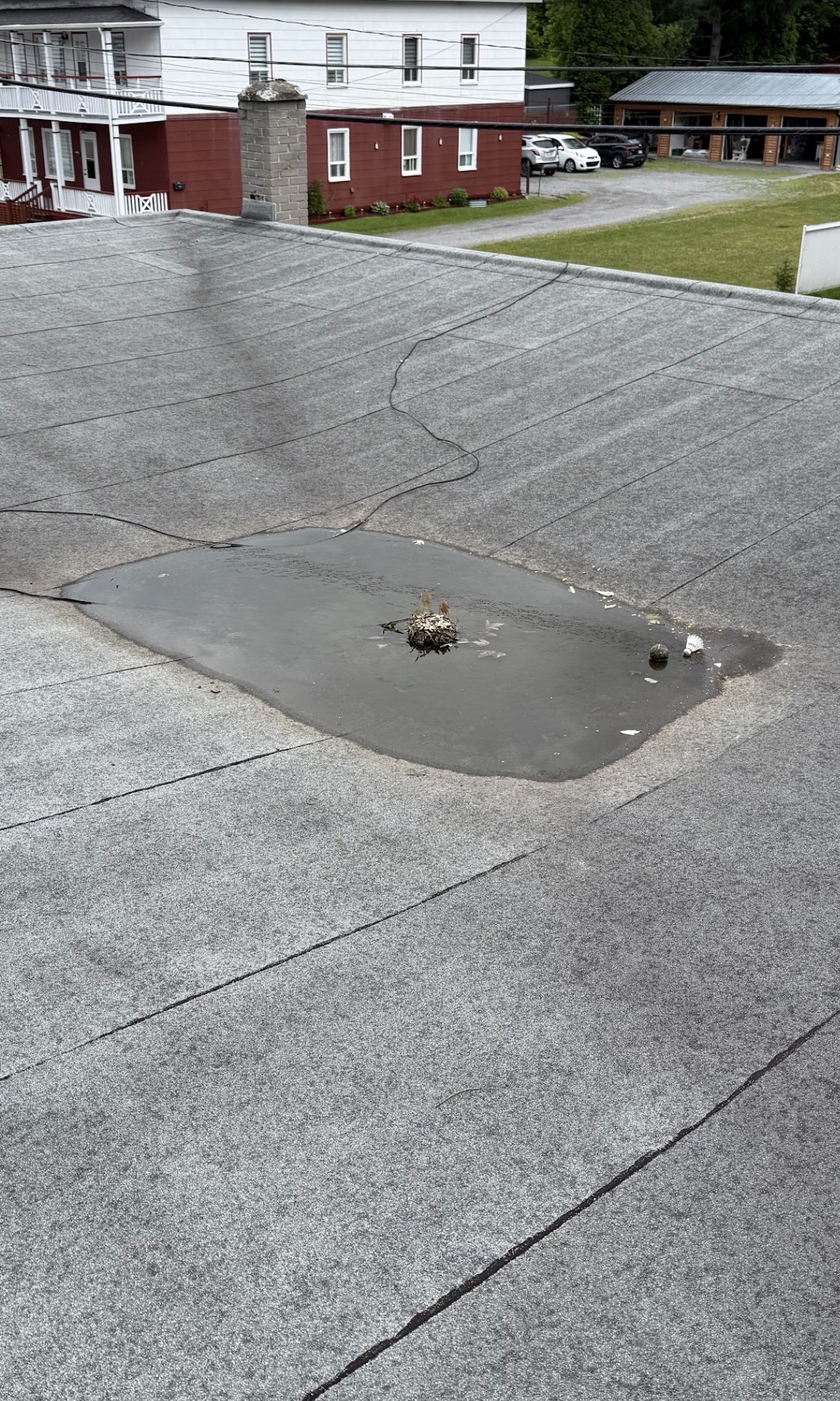 Drain de toit plat commercial bloqué par les débris, avant l'intervention