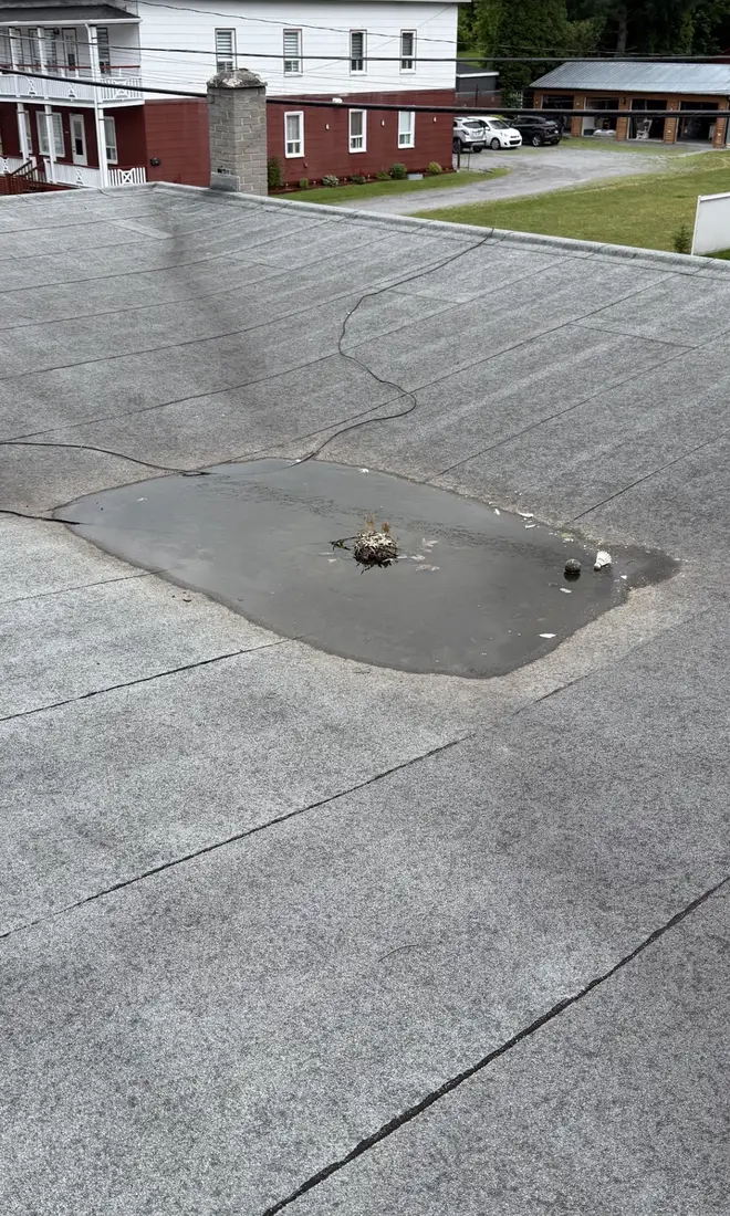 Drain de toit plat obstrué
